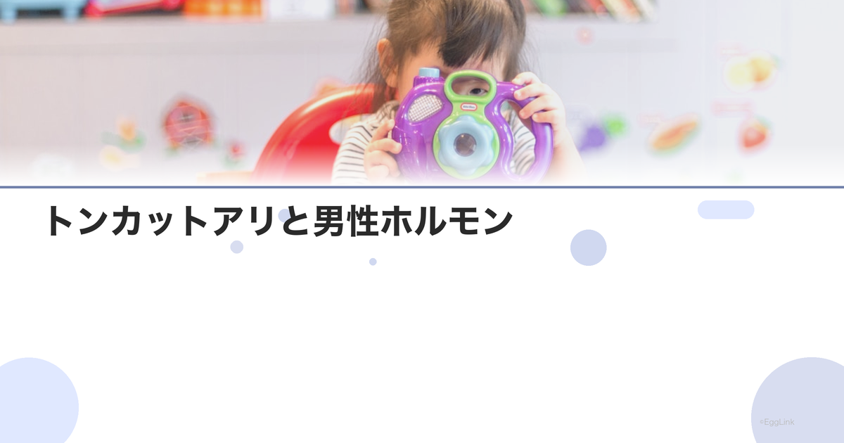 トンカットアリと男性ホルモン|精子改善効果