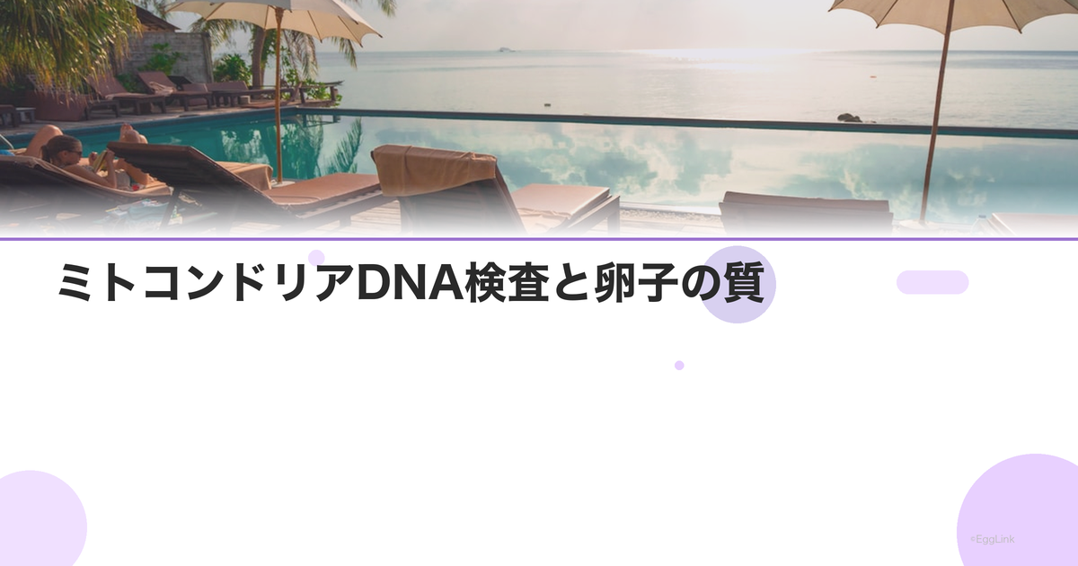 ミトコンドリアDNA検査と卵子の質