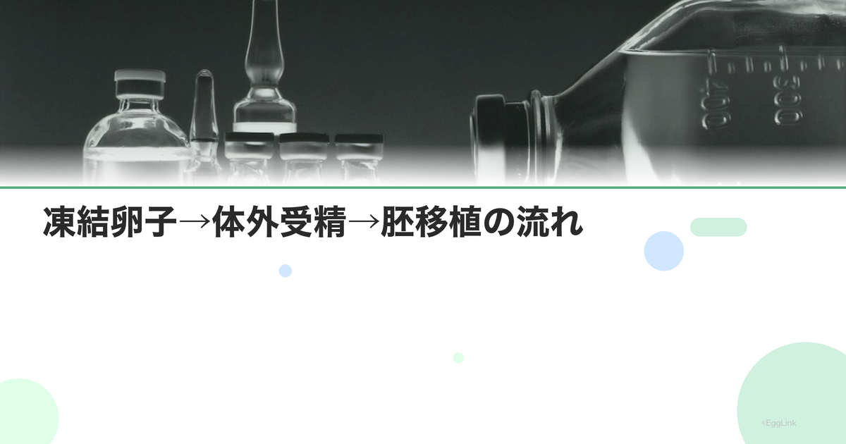 凍結卵子→体外受精→胚移植の流れ