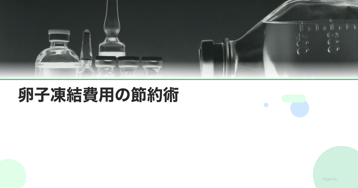 卵子凍結費用の節約術|助成金・控除・福利厚生