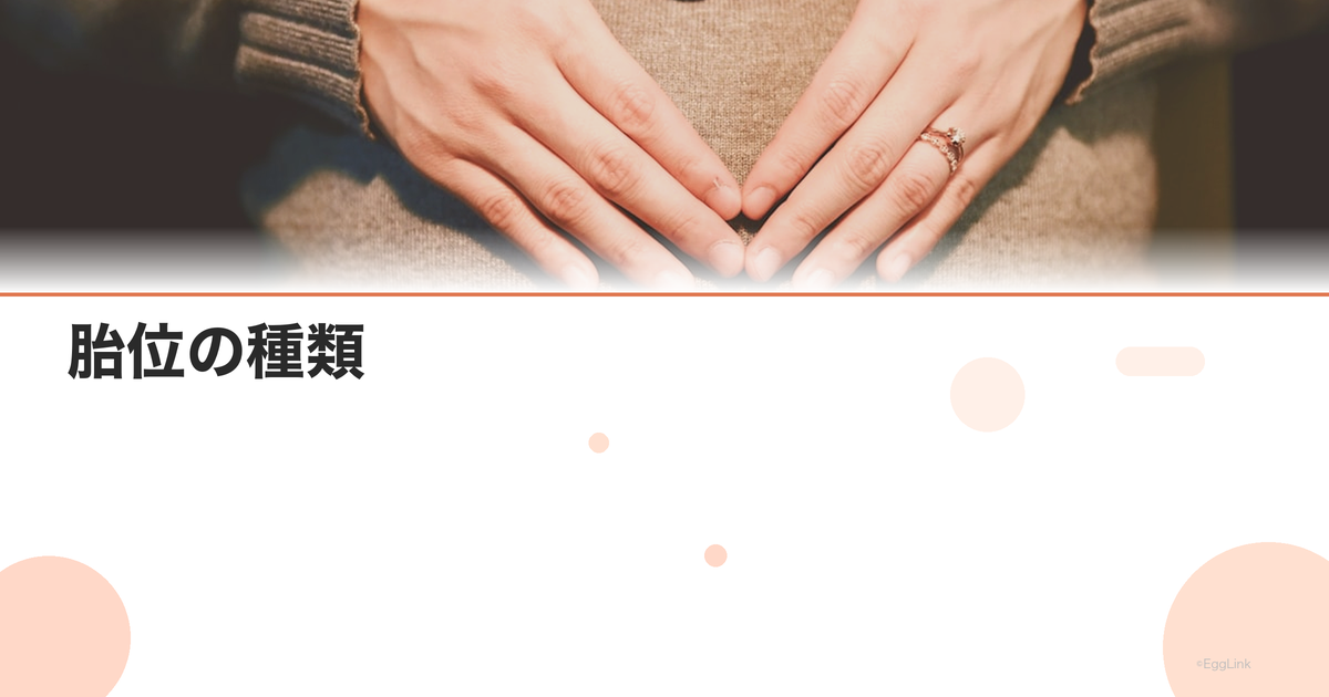 胎位の種類|頭位・骨盤位・横位の違いと出産への影響