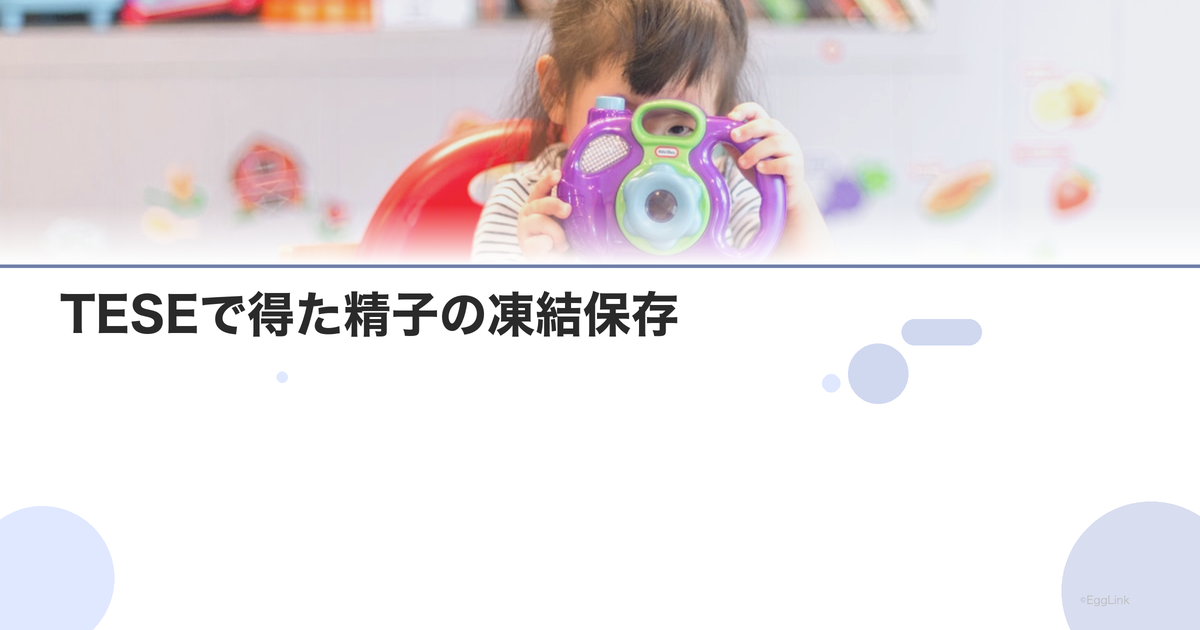 TESEで得た精子の凍結保存|保存と利用