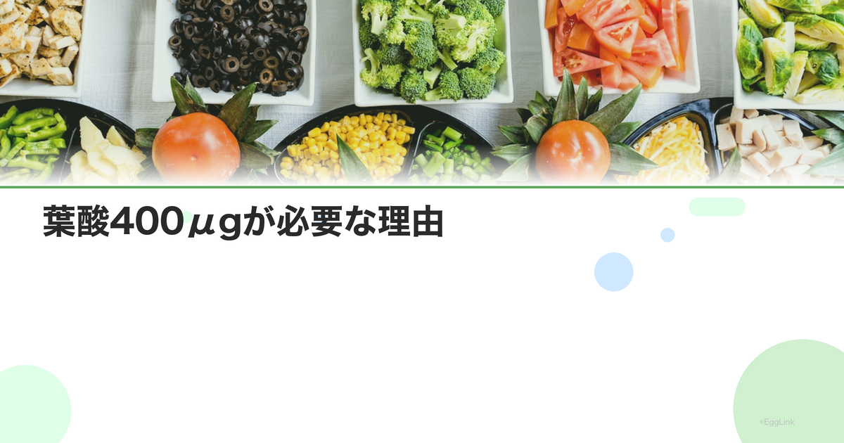 葉酸400μgが必要な理由|神経管閉鎖障害のリスク低減