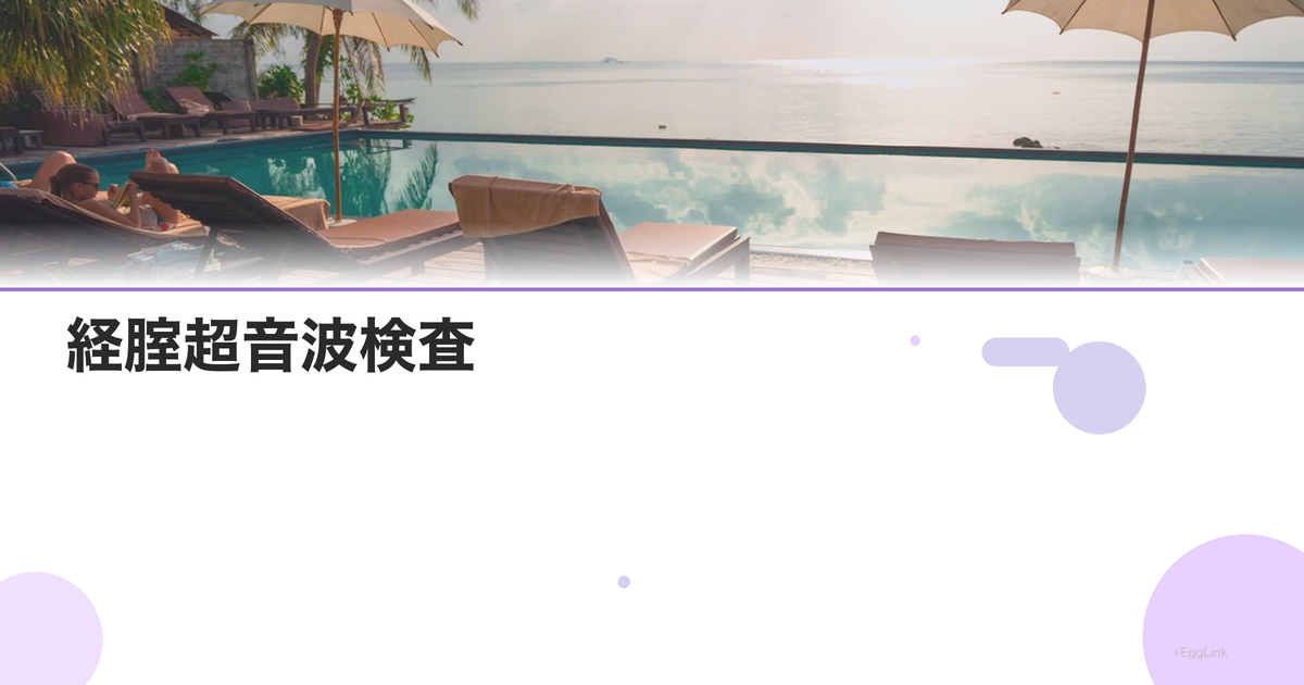 経腟超音波検査|不妊検査での役割と見方