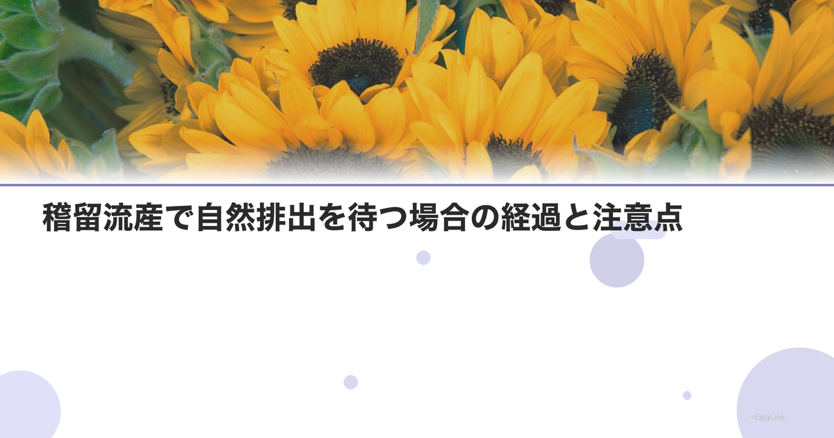 稽留流産で自然排出を待つ場合の経過と注意点