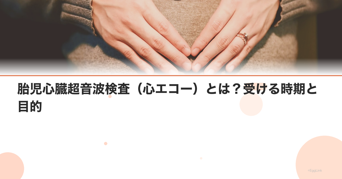 胎児心臓超音波検査(心エコー)とは?受ける時期と目的