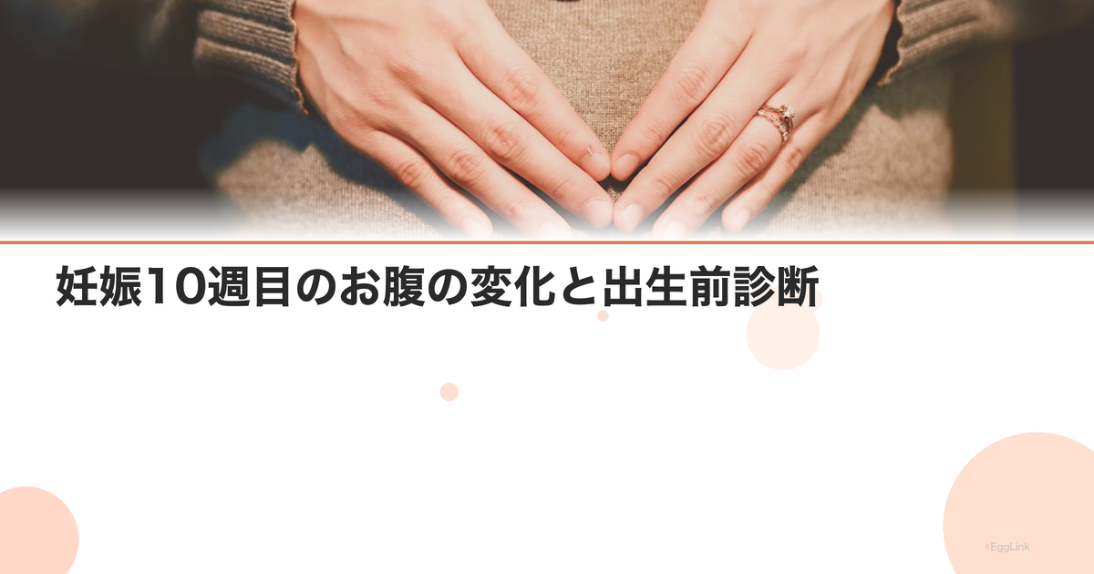 妊娠10週目のお腹の変化と出生前診断|つわりの終わりが見える時期