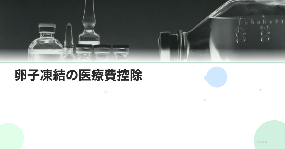 卵子凍結の医療費控除|確定申告の方法
