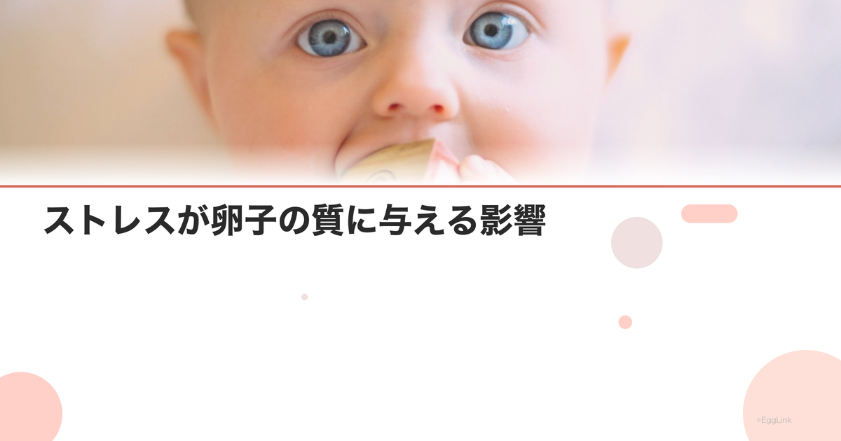 ストレスが卵子の質に与える影響|自律神経との関係