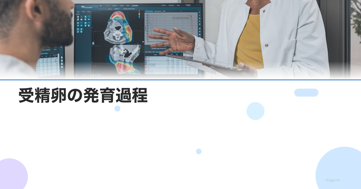 受精卵の発育過程|受精から胚盤胞まで日数ごとの変化を画像で解説