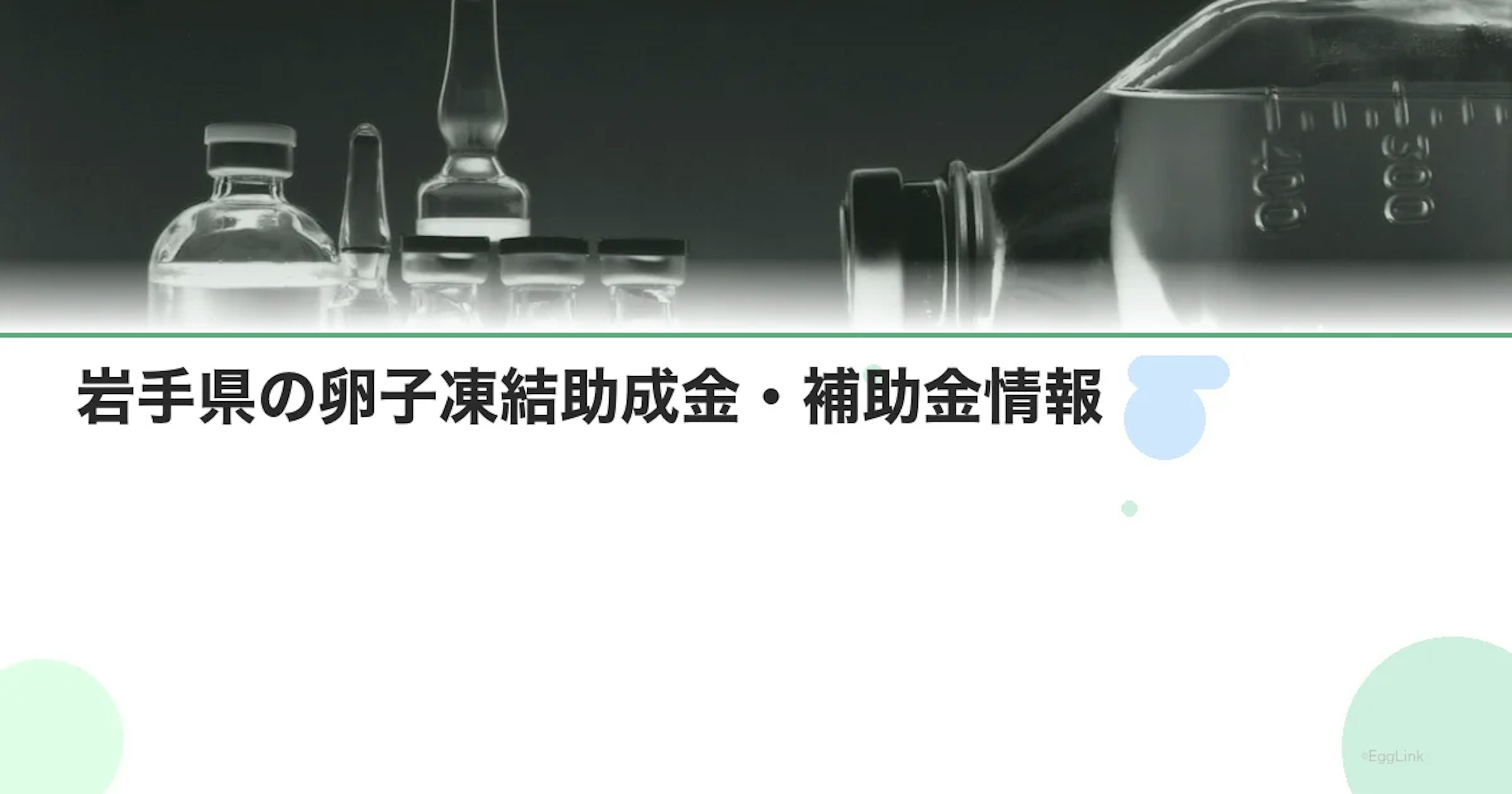 【2026年最新】岩手県の卵子凍結助成金・補助金情報｜国の制度と費用を徹底解説