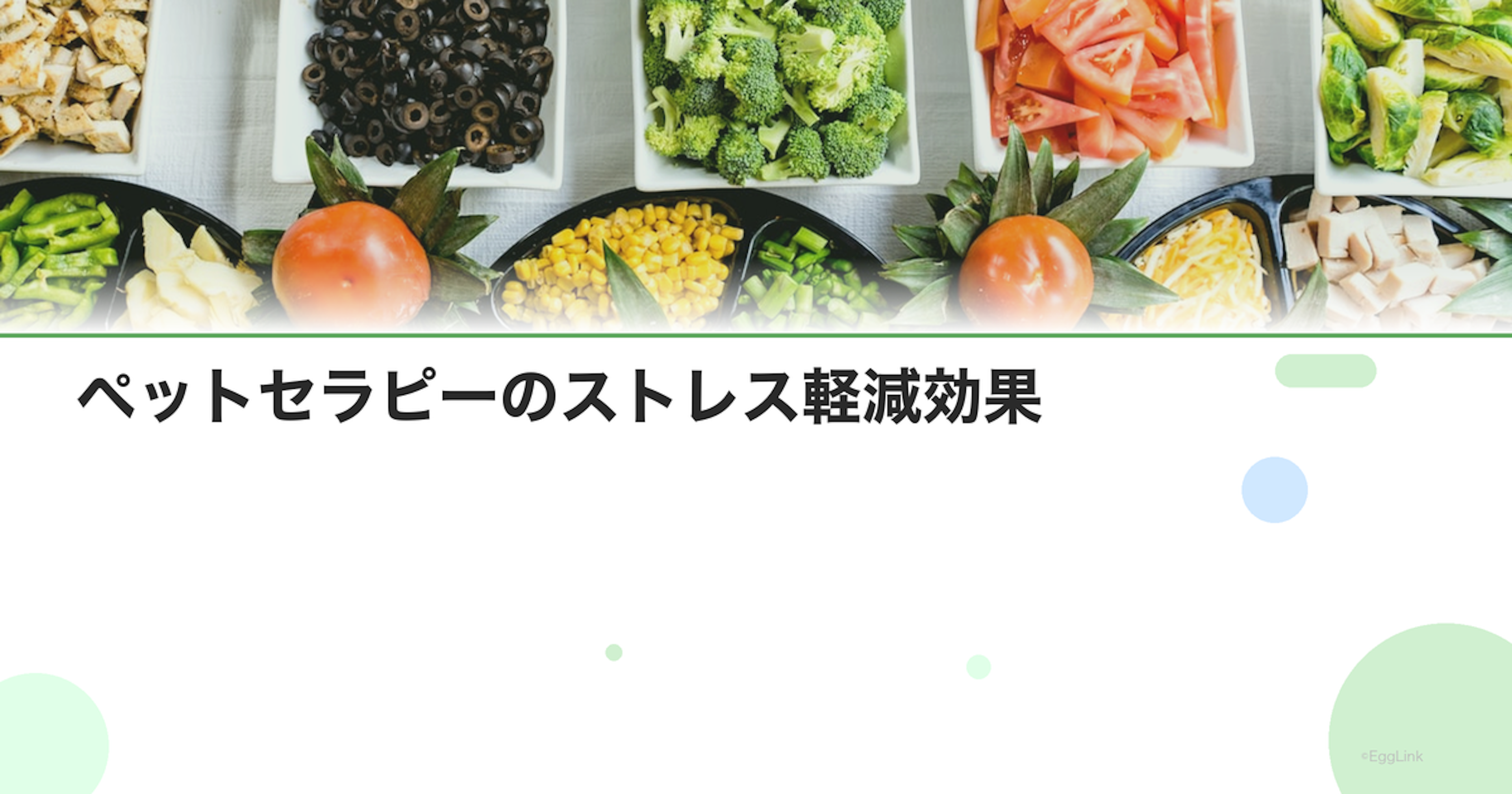ペットセラピーのストレス軽減効果｜動物と過ごす癒し