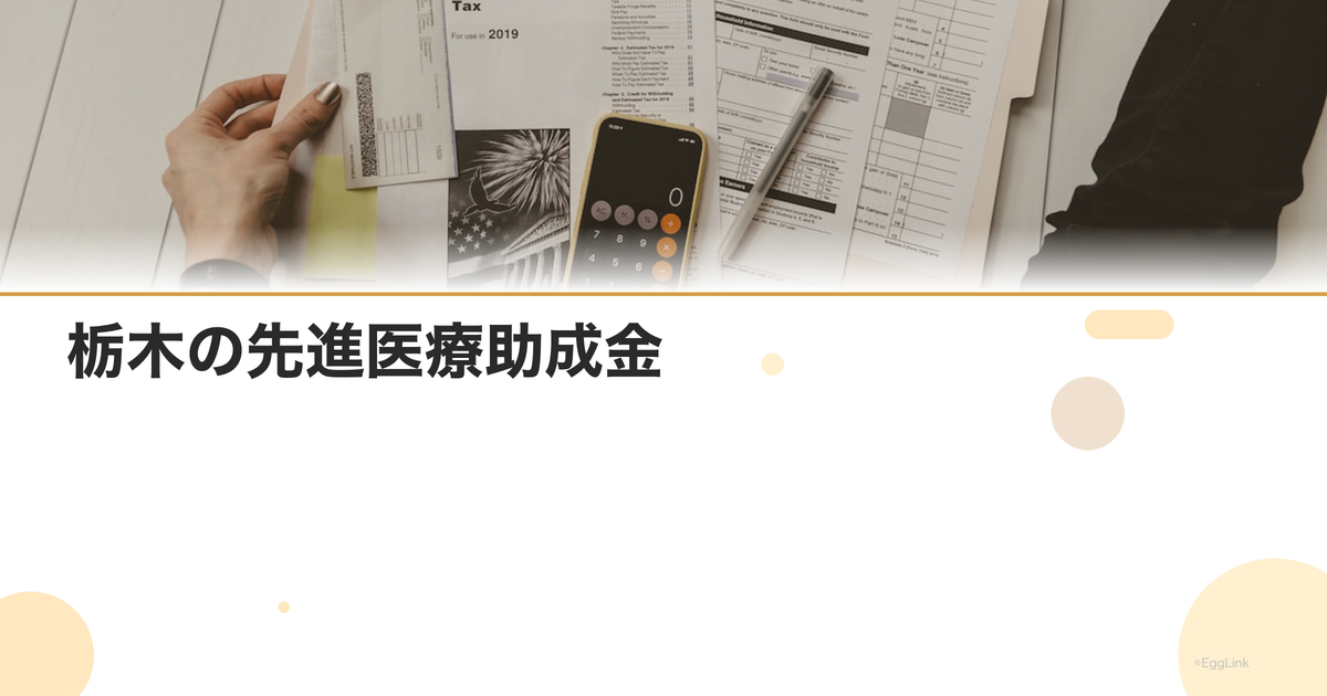 栃木の先進医療助成金|金額と申請方法