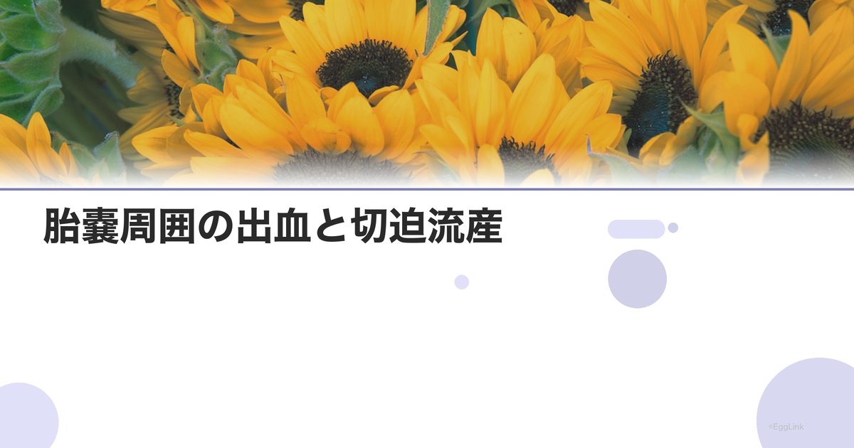 胎嚢周囲の出血と切迫流産|エコーでの所見