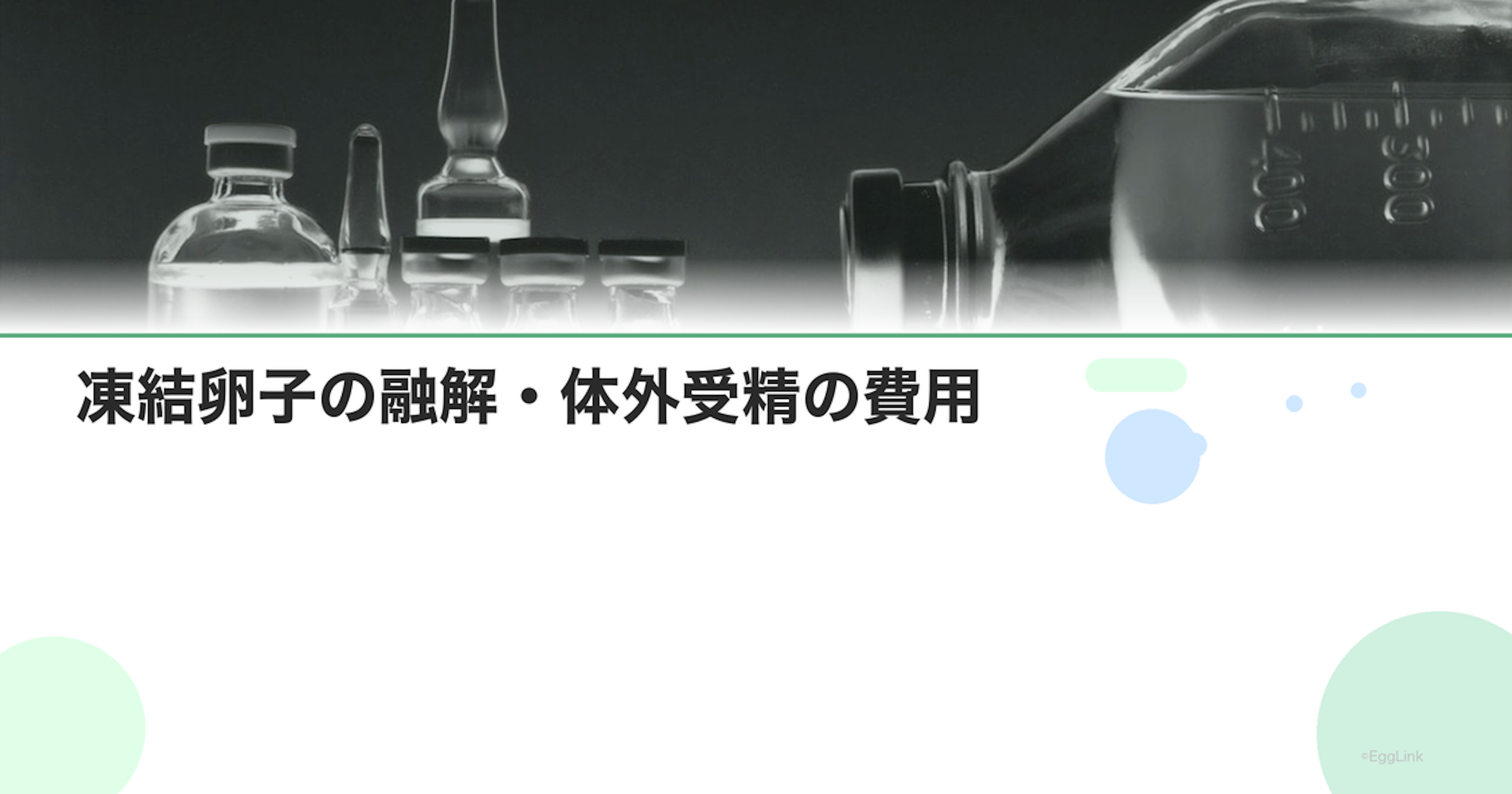 凍結卵子の融解・体外受精の費用