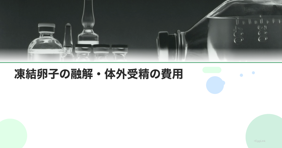 凍結卵子の融解・体外受精の費用