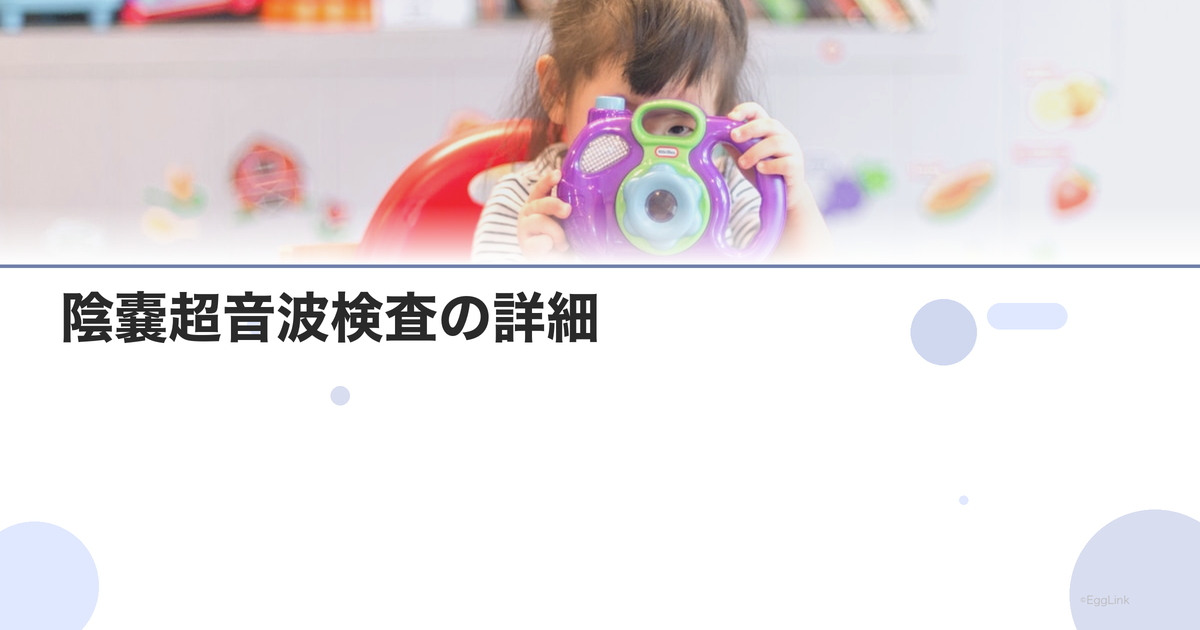 陰嚢超音波検査の詳細|精索静脈瘤・精巣腫瘍
