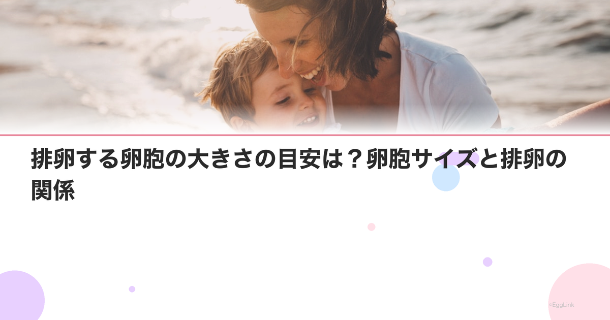 排卵する卵胞の大きさの目安は?卵胞サイズと排卵の関係