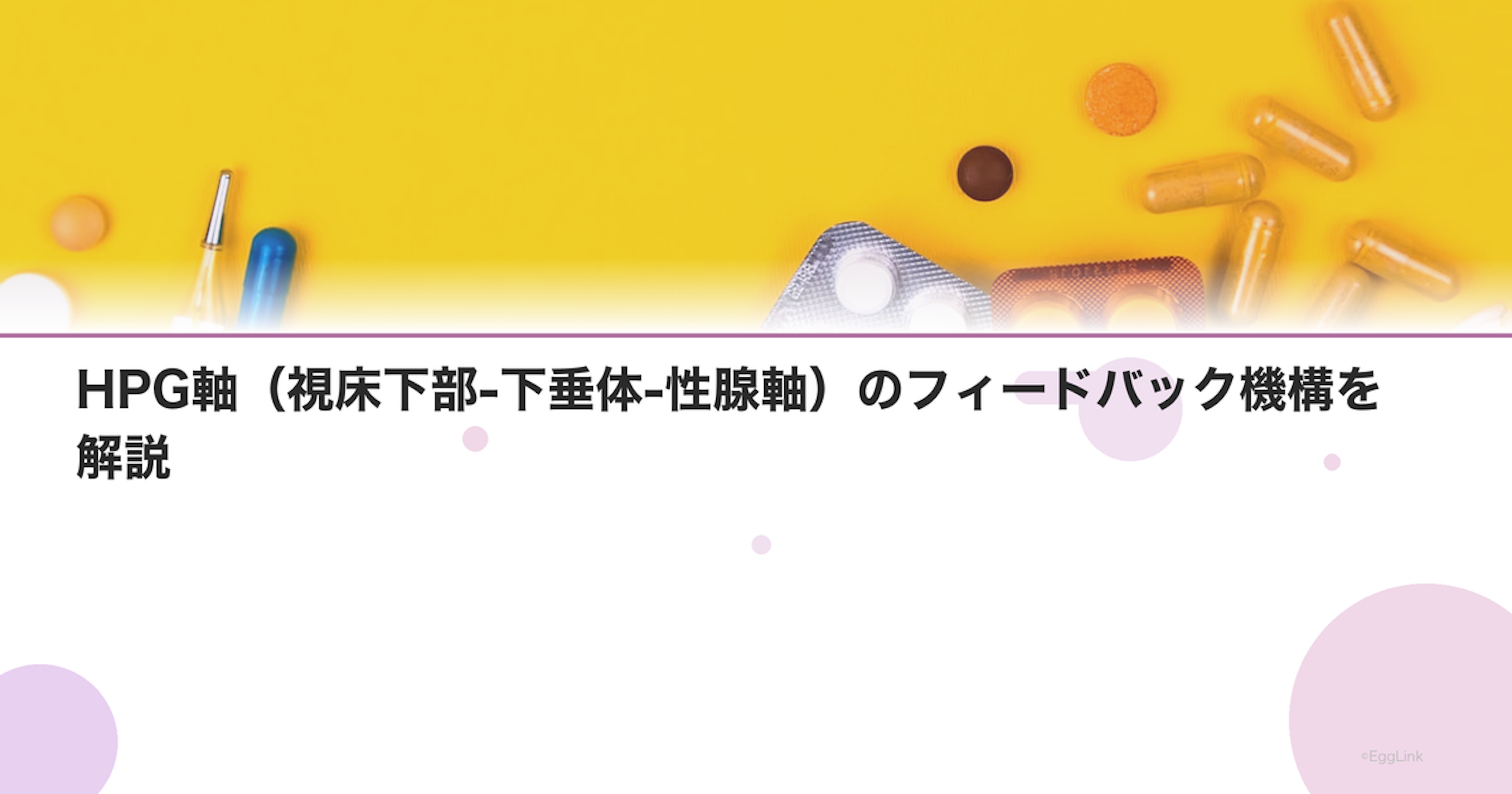 HPG軸（視床下部-下垂体-性腺軸）のフィードバック機構を解説