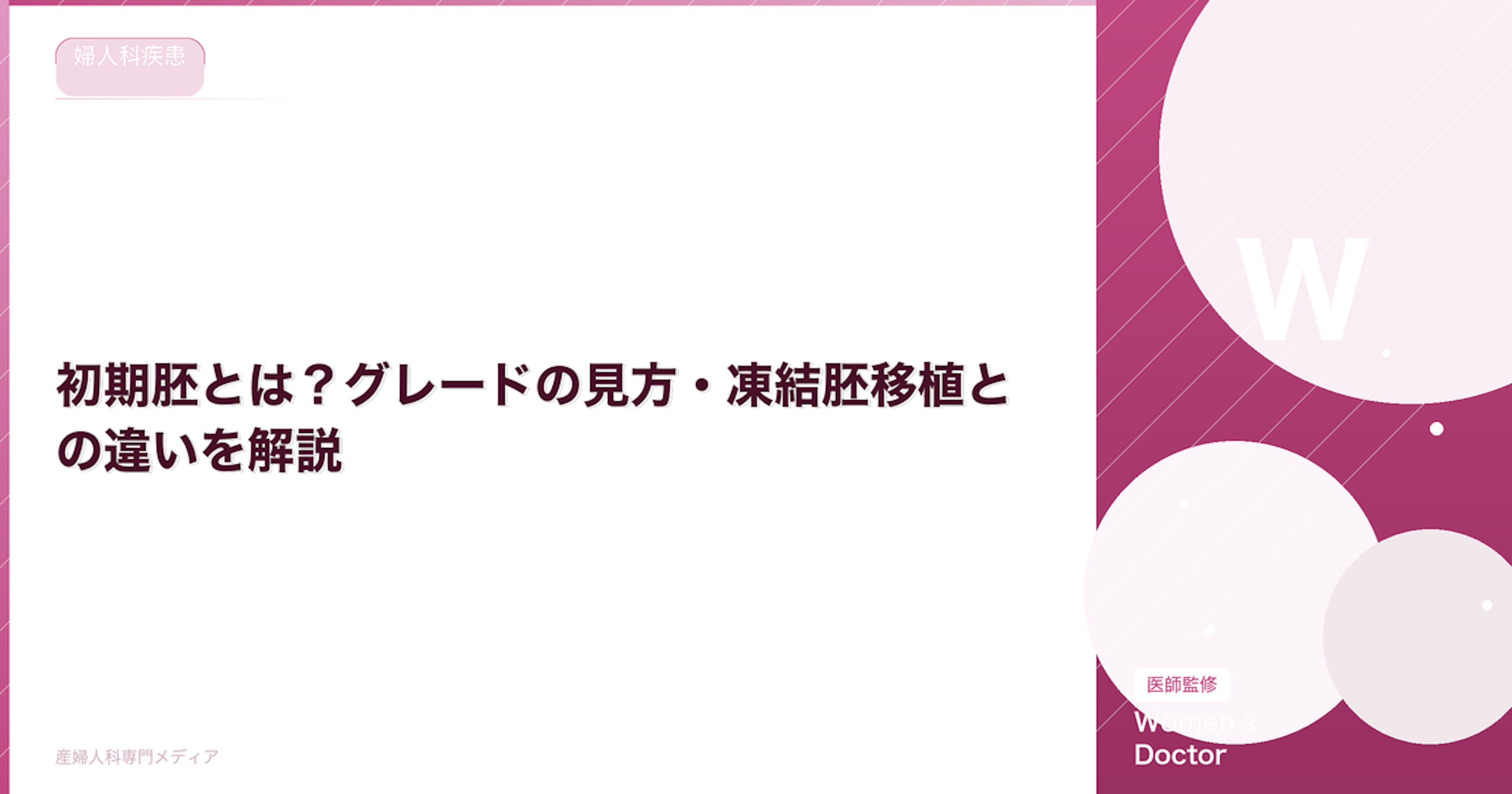 初期胚とは？グレードの見方・凍結胚移植との違いを解説【医師監修】