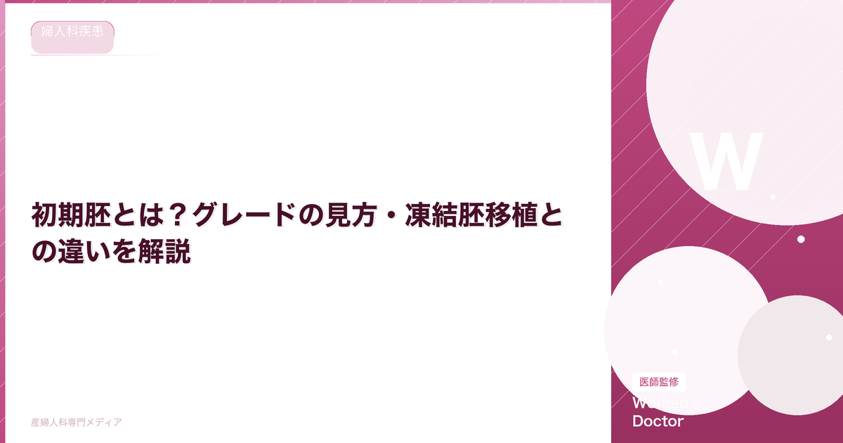 初期胚とは?グレードの見方・凍結胚移植との違いを解説【医師監修】
