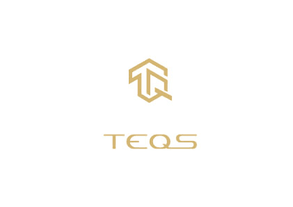 株式会社TEQS
