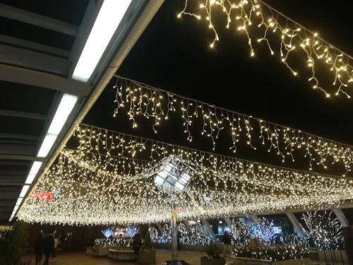 年末年始の生きづらさ、どうすれば？