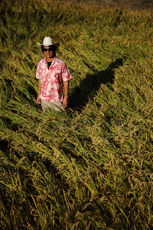 文章は過去を変えられる　親父に別れる【1】