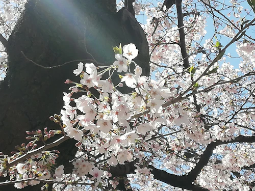 依存症の父から離れても、生きづらさは消えない  患者家族、作家、薬剤師～3つの立場から見た依存症～（10）
