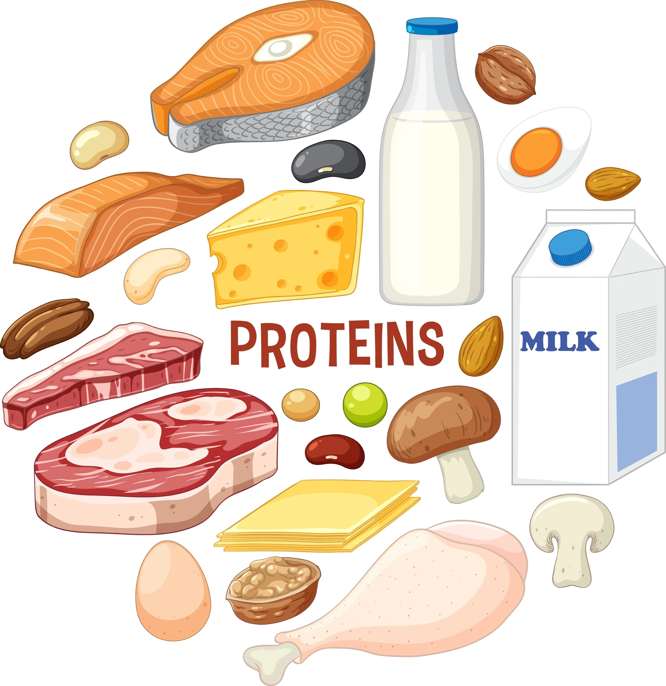 タンパク質でのダイエット効果とは?　高品質なダイエットは動物性タンパク質をしっかり採ることサムネイル画像