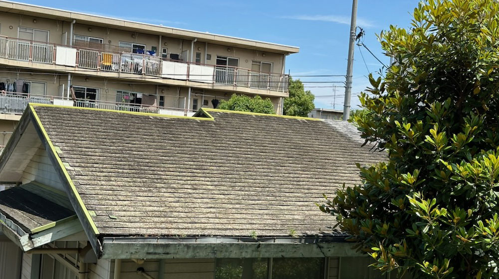 屋根防水改修 - Before