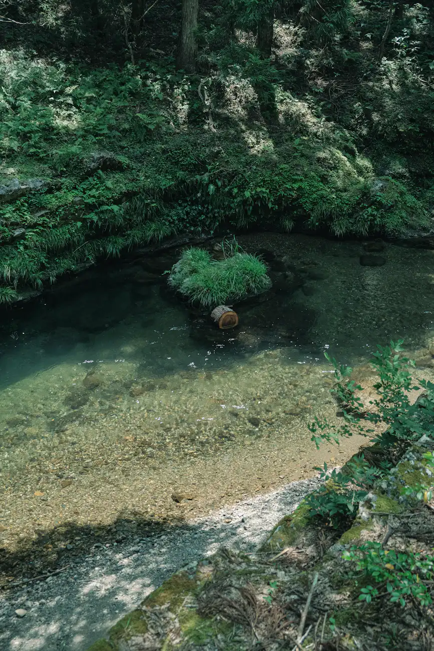 sennohi