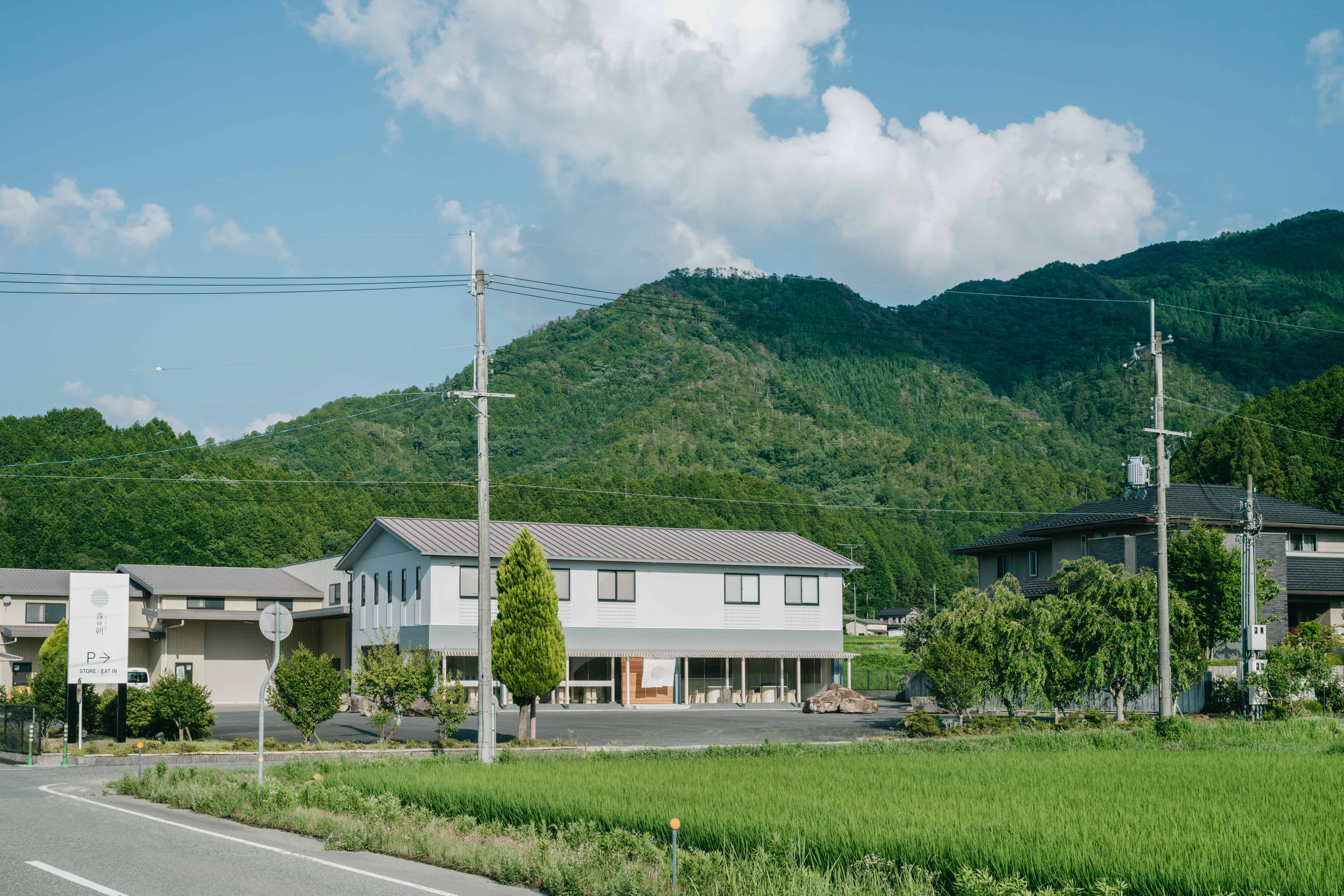 霧の朝