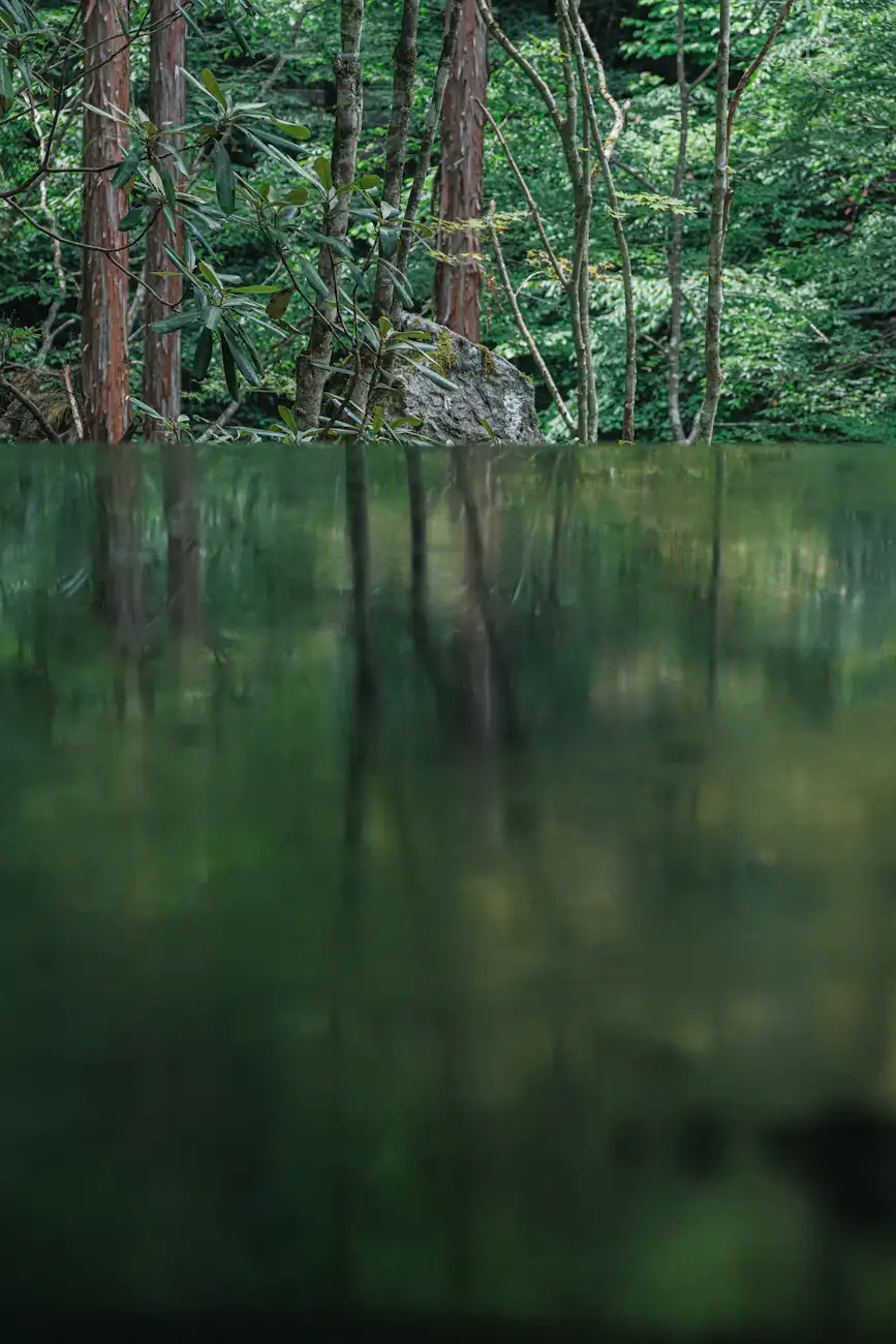 sennohi
