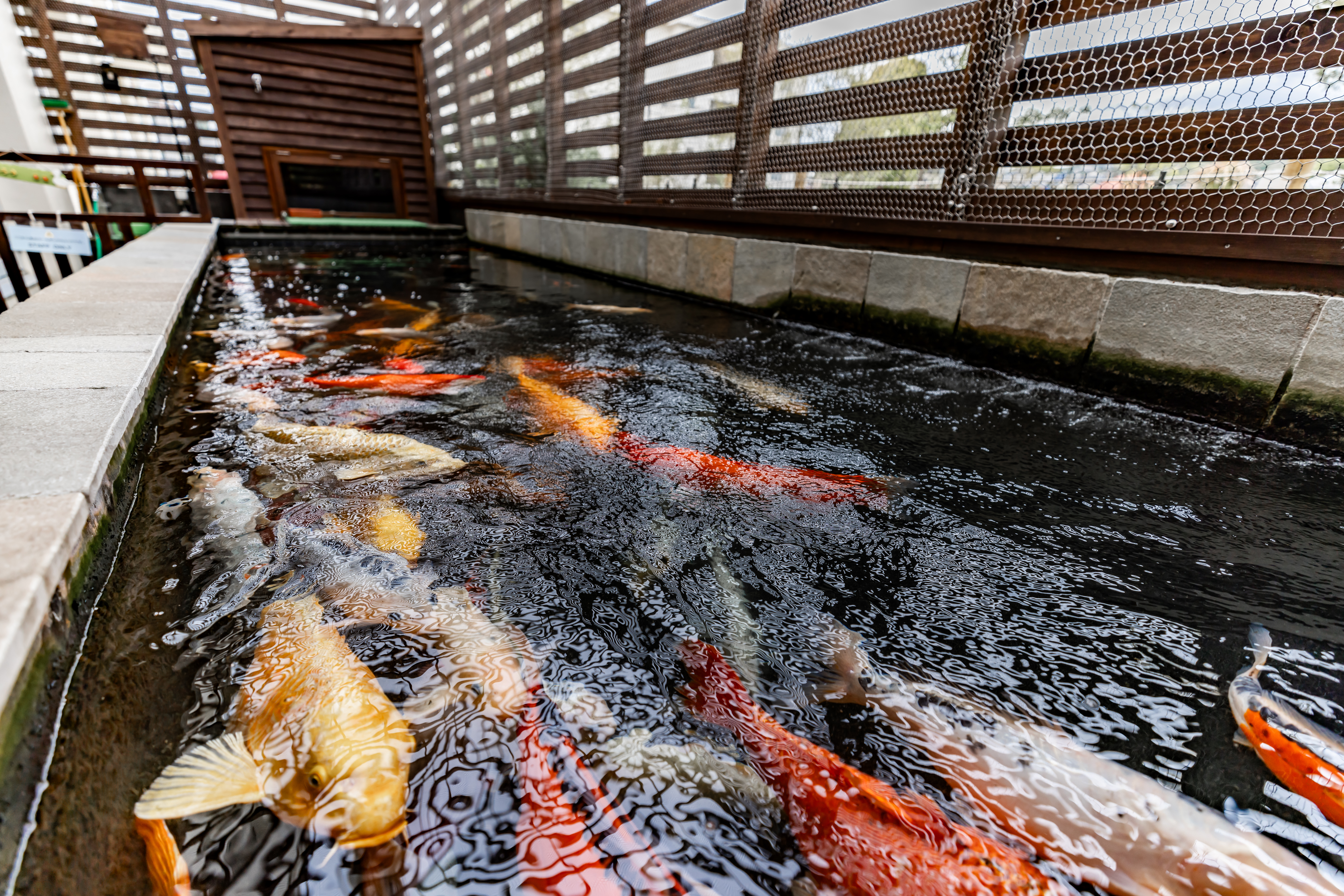 みなとやま水族館