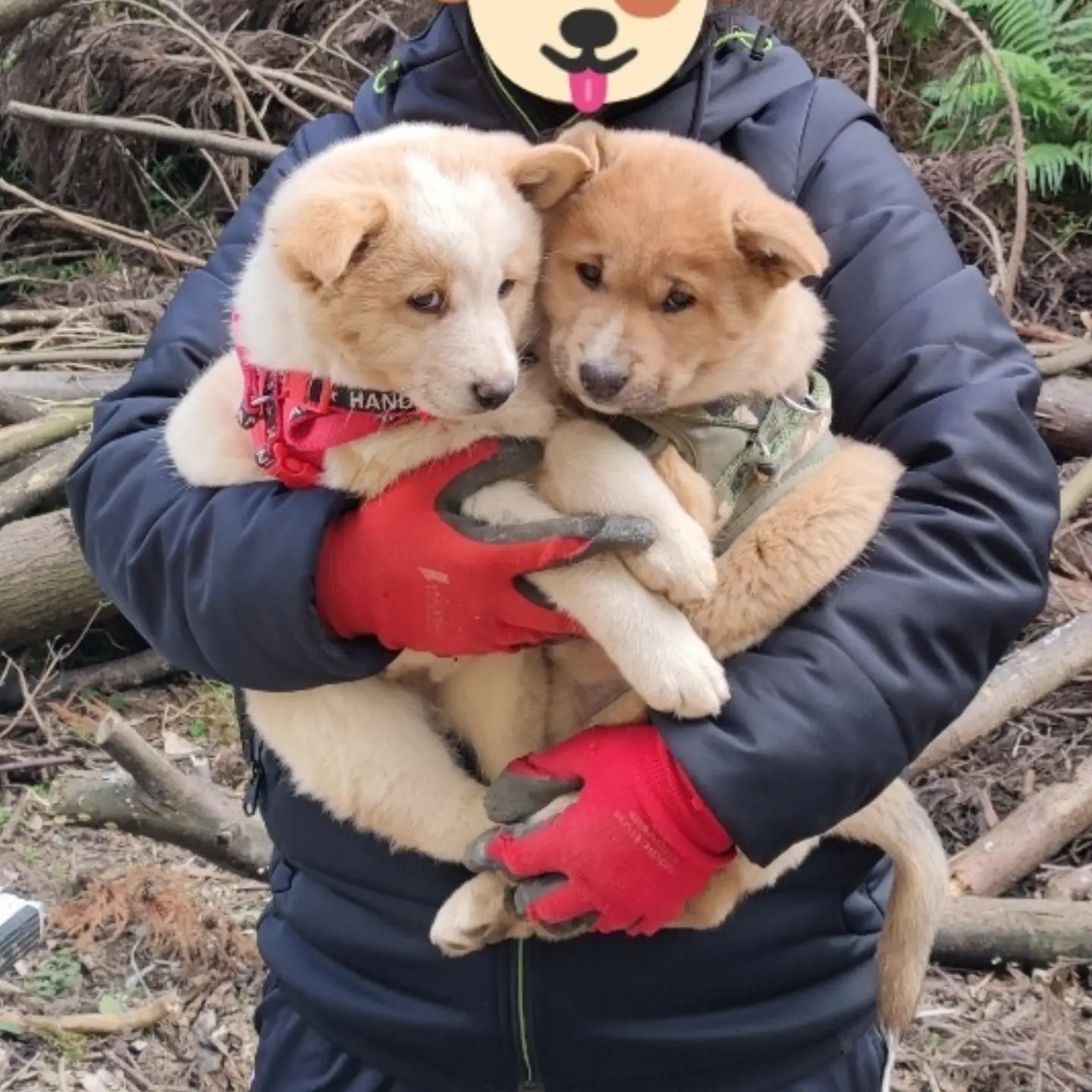 タカミ・ファーム Instagram投稿 b2-nr4c4khir