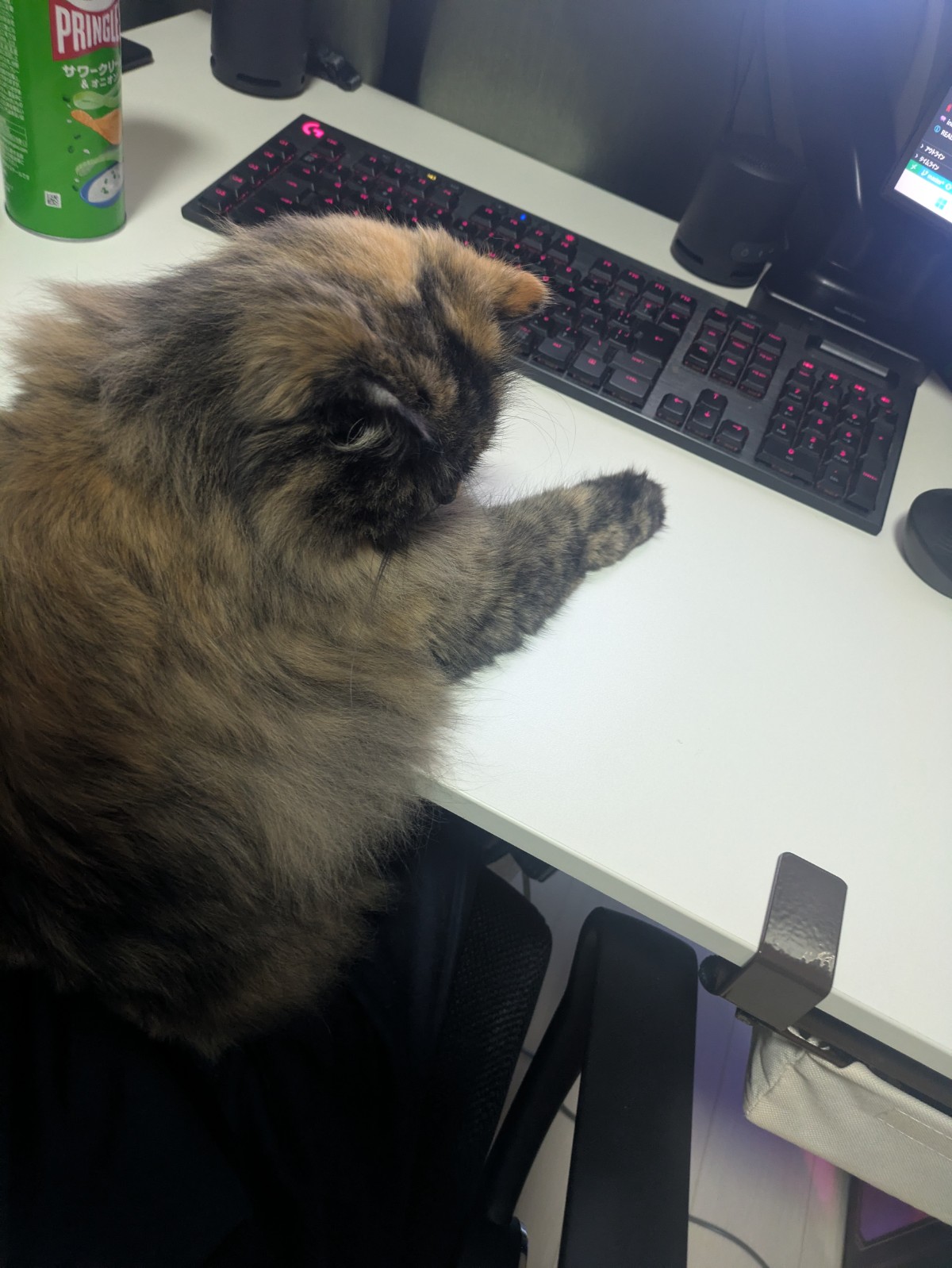 ポートフォリオ