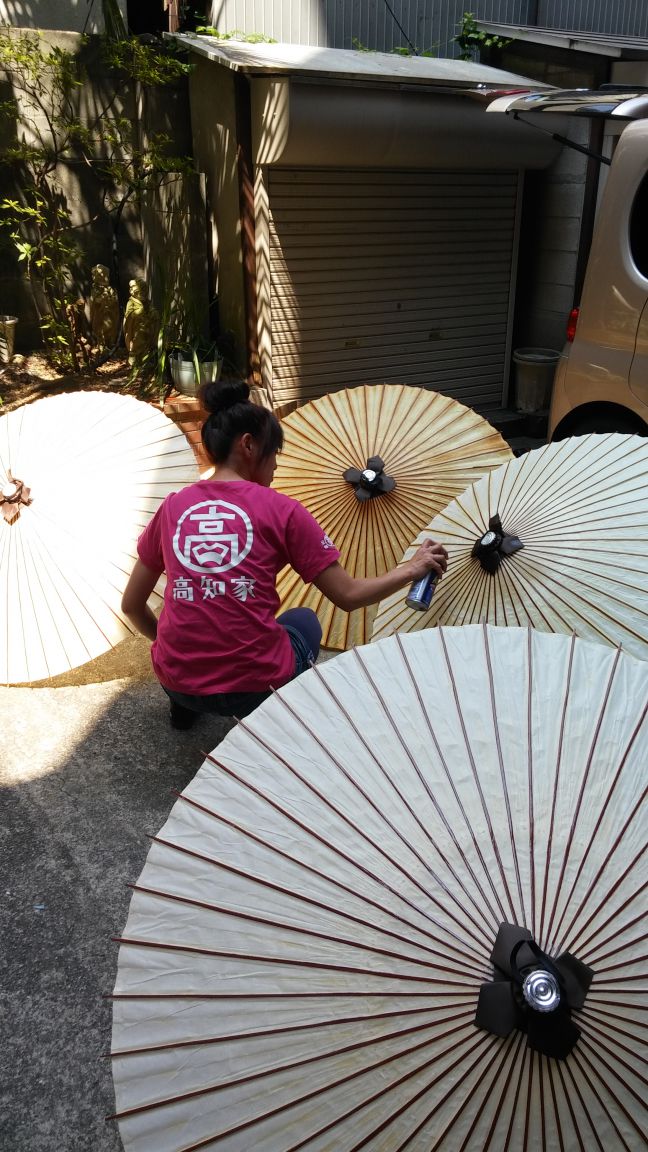 高知での作業開始！