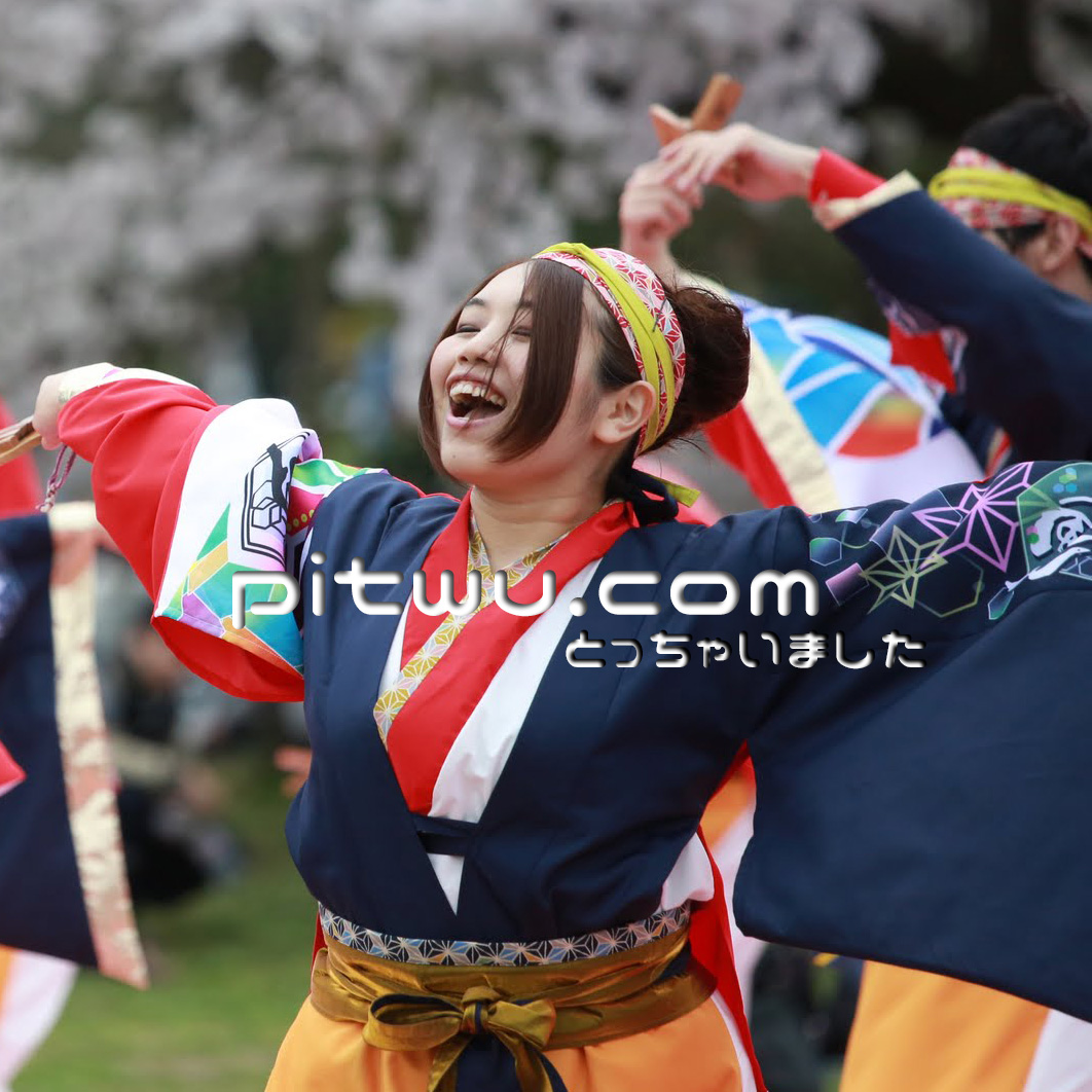 ドメインとっちゃいました。pitwu.comをよろしくお願いします！