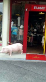 地方車制作日記7月11日(土)