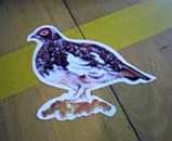 練習日記2月8日（すい）