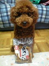 練習日記11月18日（きん）