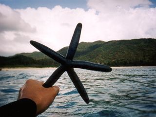 Ｔシャツin沖縄(2001/10/21)