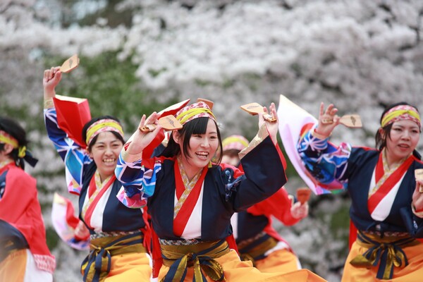 京都さくらよさこい1日目の写真と動画