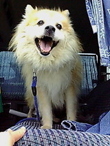 練習日記9月7日(すい)