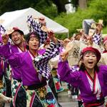 2017年メンバー募集特集！