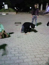 10/25足つりたいが