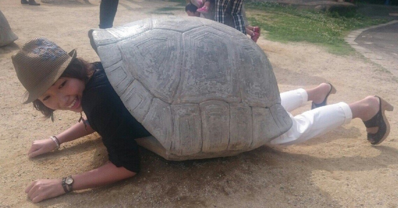 吾輩はキャサである