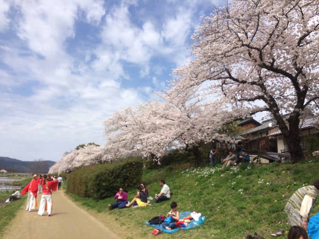 IMG_5751.JPG のコピー