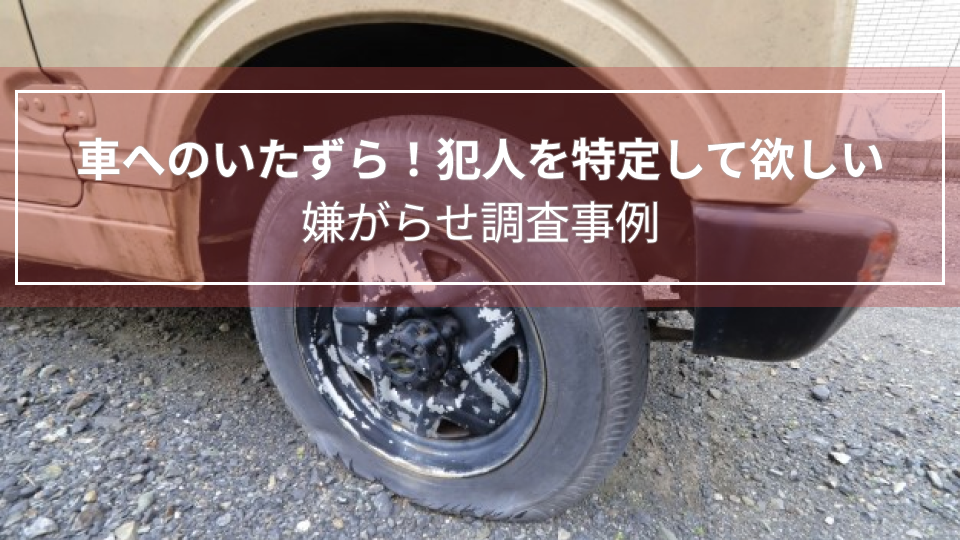 車へのいたずら！犯人を特定して欲しい｜嫌がらせ調査事例（千葉県　５０代男性）